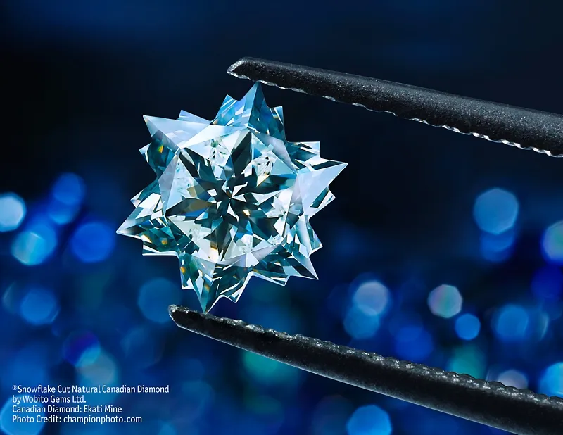 /_astro/1396820785-wobitoweb-g-snowflake-tweezers.Bk86vEGN.jpg